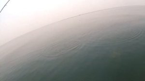 Рыбалка на омуля. Энхалук 2017