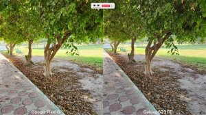 Google Pixel 8 VS Samsung Galaxy S23 FE Camera Test Comparison