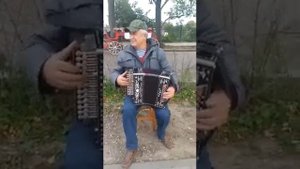 Супер-наигрыш? Гармонь Тульская «Любительская»