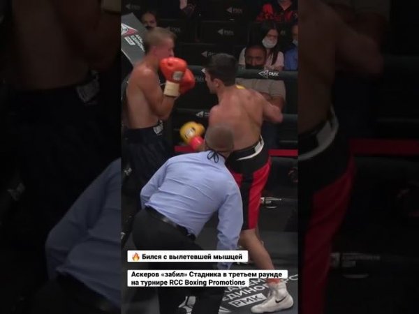 Дрался с вылетевшей мышцей. Аскеров «забил» Стадника на турнире RCC Boxing Promotions