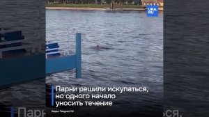 Четыре студента из Индии утонули во время купания в Великом Новгороде