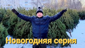 Заработали 1 000 000 рублей на ёлках!)))))