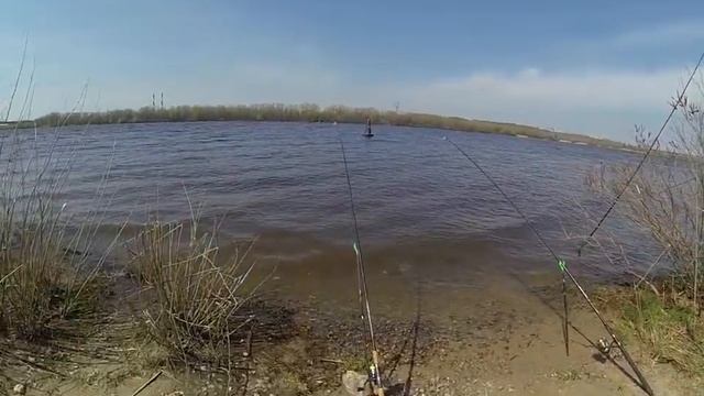 Весна рыбалка акватория Киева!!!