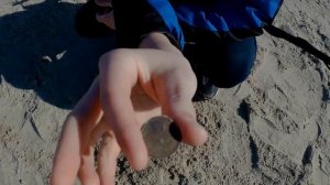 Коп с Garrett Ace 350 Euro (Ася 350). Пляж, открытие сезона 2017.