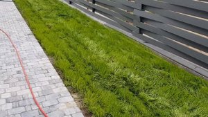 Первая стрижка газона.