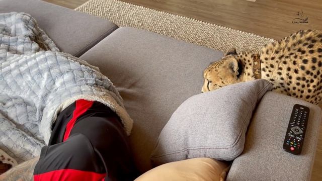 Герда будит Сашу. Попытка номер 1 смотреть онлайн