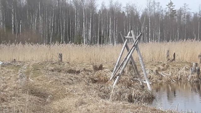Гатчина: речка Тёплая, странная конструкция
