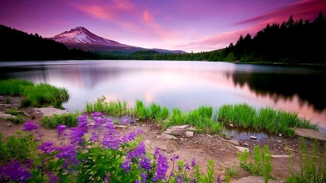 МУЗЫКА ДЛЯ ВИДЕО/АТМОСФЕРА#1/ФОНОВАЯ МУЗЫКА/СПОКОЙНАЯ МУЗЫКА смотреть онлайн