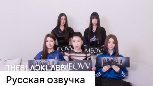 РУССКАЯ ОЗВУЧКА - MEOVV - 'MEOW' (FAN CHANT)