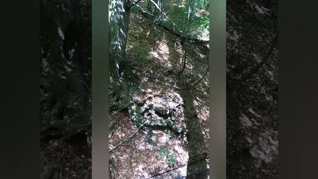 В гостях у бендеровцев