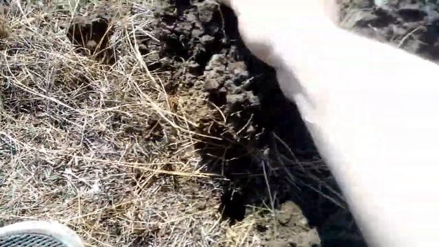 С сыном в поисках клада! смотреть онлайн