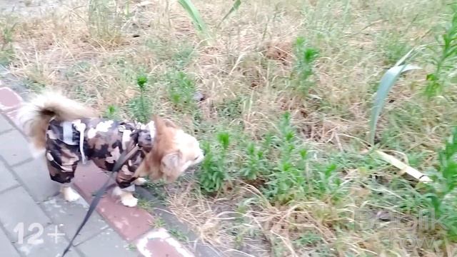 ПРОВЕРИЛИ ЛАЙФХАКИ ИЗ ТИК ТОКА / 8 СРЕДСТВ ОТ РЖАВЧИНЫ / Bublik Show Slivki смотреть онлайн