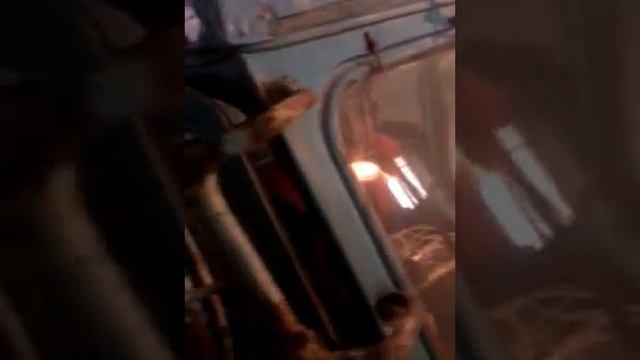 Фокус на тракторе смотреть онлайн