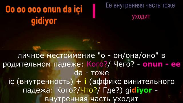 Учим турецкий по песням _ #10 Tarkan - Dudu  _ 214 день