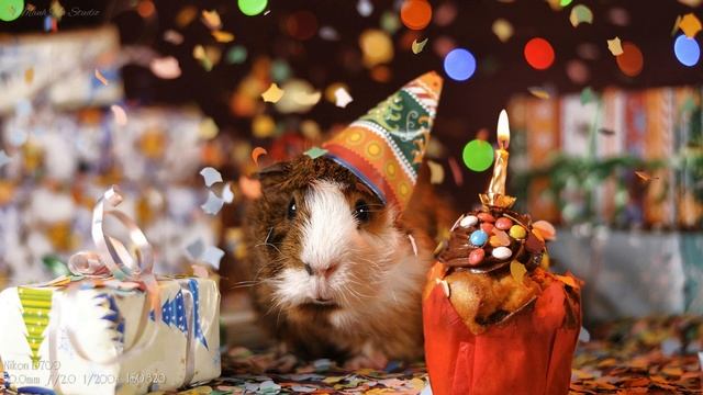 Nikon D700 Sample Images | Nikon D700 Photography смотреть онлайн