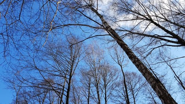 ПРЕКРАСНЫЕ СТИХИ смотреть онлайн