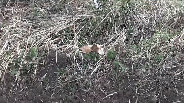 Как я собираю коллекцию уральских минералов на даче смотреть онлайн