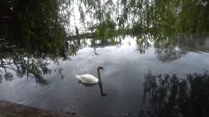 Абхазия 2023. Новый Афон.