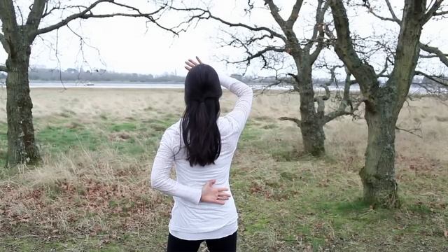 Bone Marrow Cleanse Qigong Practice смотреть онлайн