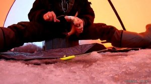 Зимняя ловля леща на Сурском водохранилище 19.12.2016 год  Итого 14 кг