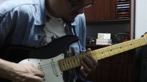 Feliz Aniversário  - Fender Stratocaster MIM caps Tex Mex