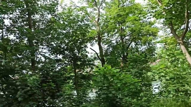 посёлок Железнодорожный.  Проезд первый.