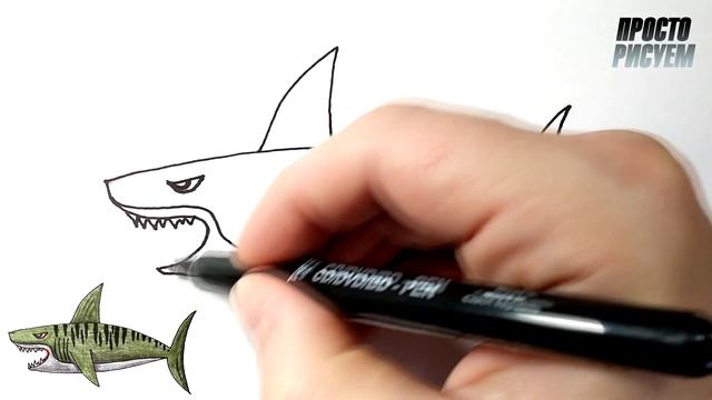 Как нарисовать ТИГРОВУЮ АКУЛУ, Просто рисуем смотреть онлайн