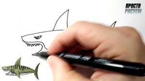 Как нарисовать ТИГРОВУЮ АКУЛУ, Просто рисуем
