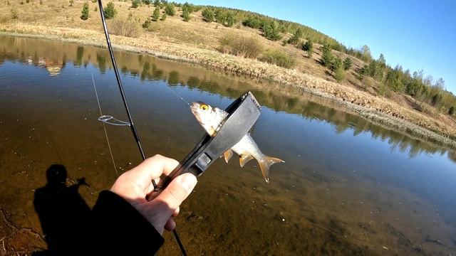 Мормышинг. Эльдорадо спиннингиста. Море плотвы и карася смотреть онлайн