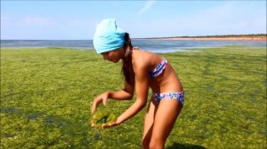 Челлендж/ Ася и водоросли/ Лебедевка/  Challenge /Summer time