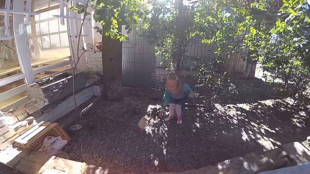 Трогательный зоопарк в Ялте часть III смотреть онлайн