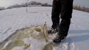 Зимняя рыбалка|АНОМАЛЬНАЯ РЫБАЛКА в конце марта 2018 года