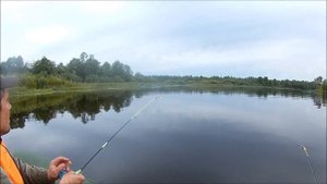 РЫБАЛКА на КОЛЬЦО на р.ЛУГА или перепаханное поле в ОРЛАХ.