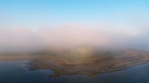 Bird island in Rostov reserve. Птичий остров в Ростовском заповеднике. Face to face drone shooting.