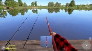 С чего начать ловлю карпа на Янтарном, мой опыт, рекомендации, сборки