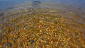 Футаж. Эффект прозрачности воды 2