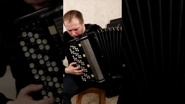 Альянс На ЗАРЕ на Баяне #баян #баянист #топбаянист #accordionmusic #игранабаяне #кавер #cover #song