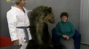 Медведь растерзал телеведущих!