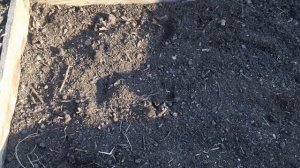 Правильная закладка компостной грядки!