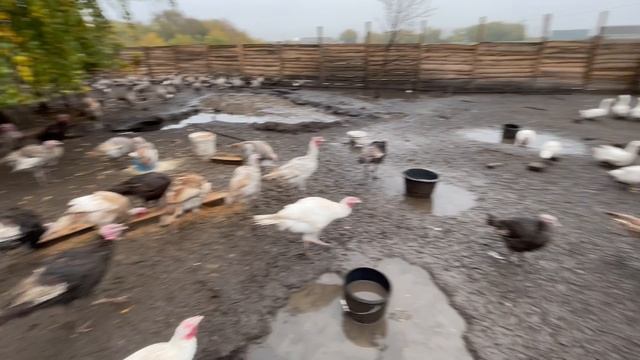 03-10-2023 смотреть онлайн