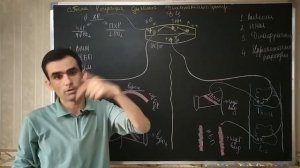 Физиология дыхание. Регуляция дыхание. Дыхательный центр