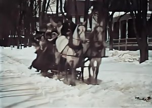 Зимняя поездка на санях в 1906 году.