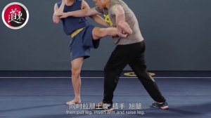 Базовая техника Ушу-саньда. Урок 34. Броски с захватом ног