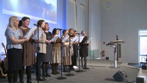 У дикого гуся могучие крылья // Христианские песни