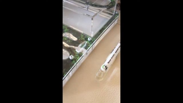 Муравьиная ферма. Исследовательский проект. Часть 1. смотреть онлайн