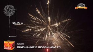 В7671 салют "Признание в любви" 1,2Х49