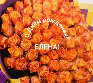 С Днём рождения, Елена!