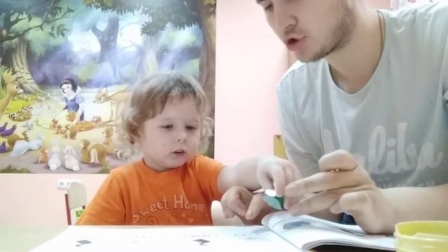 Коррекция сенсомоторной алалии
