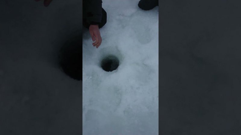 Сопротивляется достойно