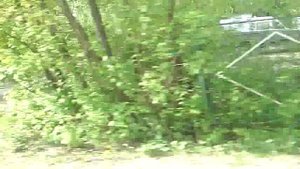 Монино, автобус 34, участок Станция Монино - пов. на комбинат